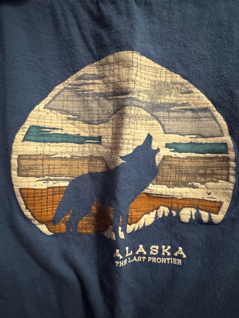Bundle of 2 4T Alaska T-Shirts, and 1 4T Alaska pajama set - Picture 9 of 16